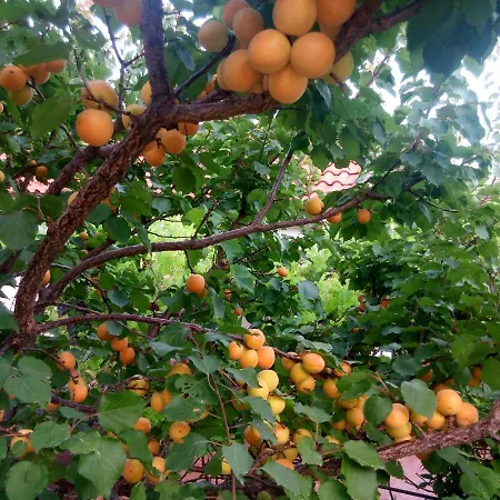 La Casa Del Mare Savone