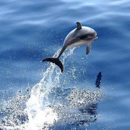 Apartamento La Casa Del Mare *
