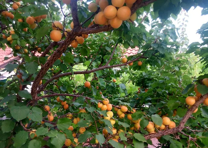 La Casa Del Mare Savona